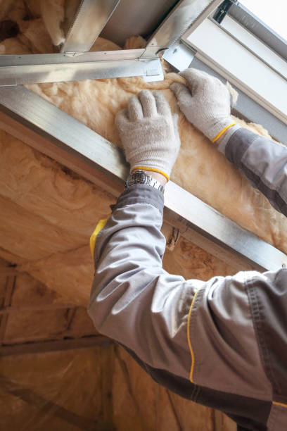 Best Specialized Insulation Services in Indian Shores, FL