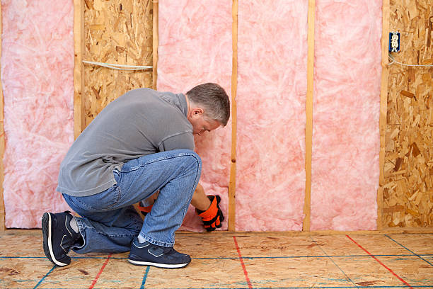 Types of Insulation We Offer in Indian Shores, FL